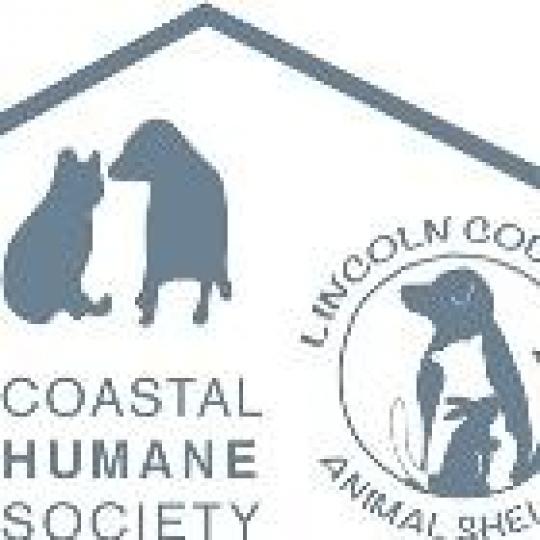 Organization Logo