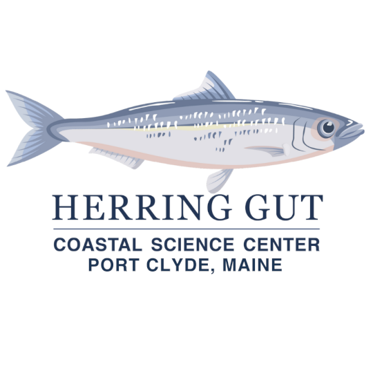 Organization Logo