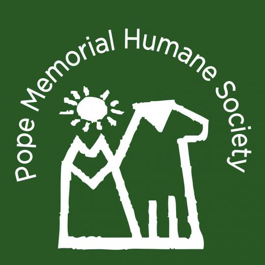 Organization Logo