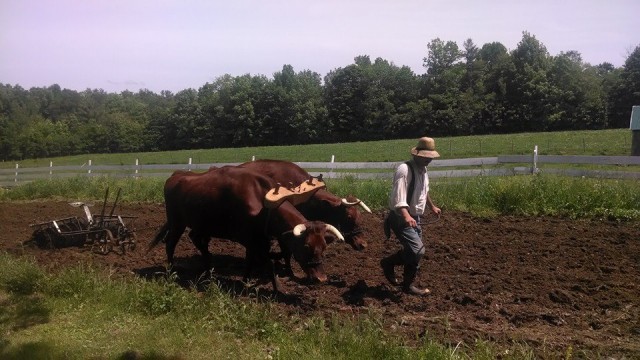 Organization Photo  (78874)