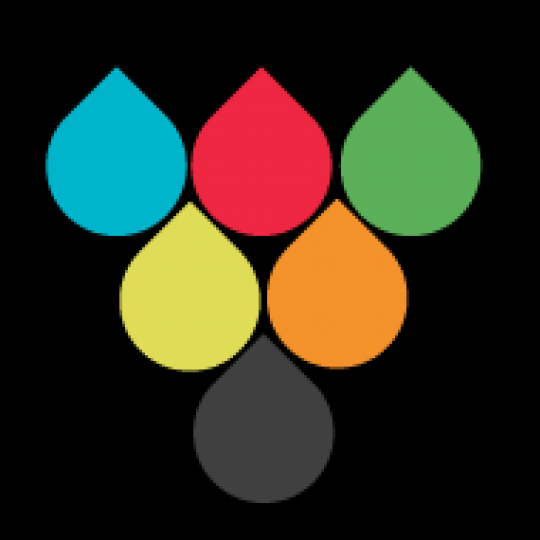 Organization Logo