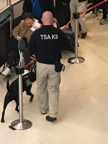 Organization Photo  (135054)