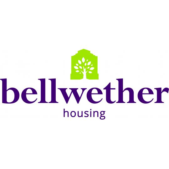 Organization Logo