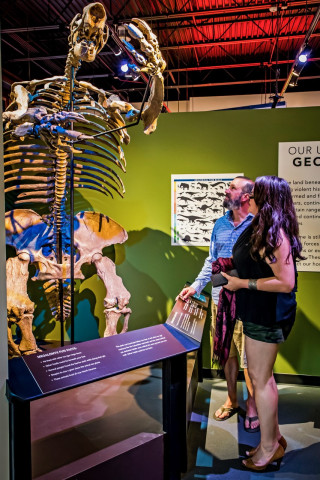 Organization Photo  (139645)