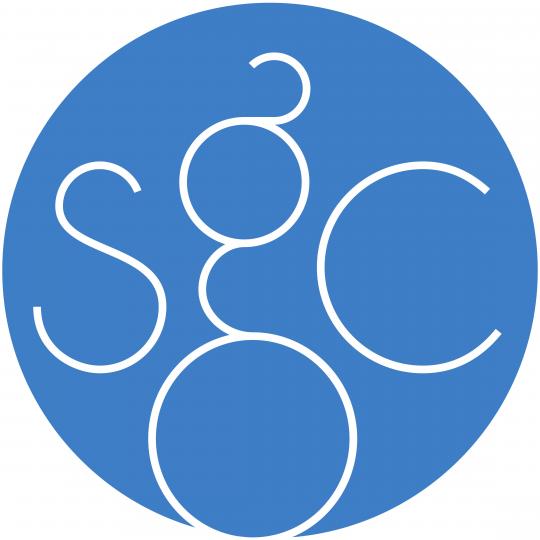 Organization Logo