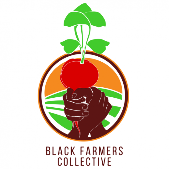 Organization Logo