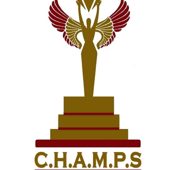 Organization Logo