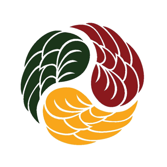 Organization Logo