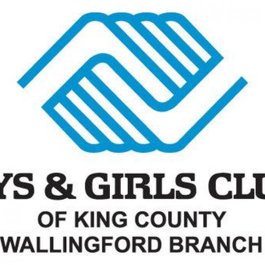 Organization Logo