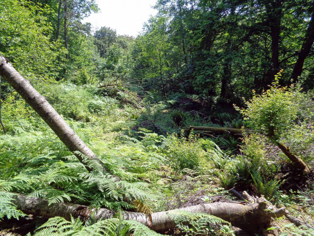 Organization Photo  (120068)