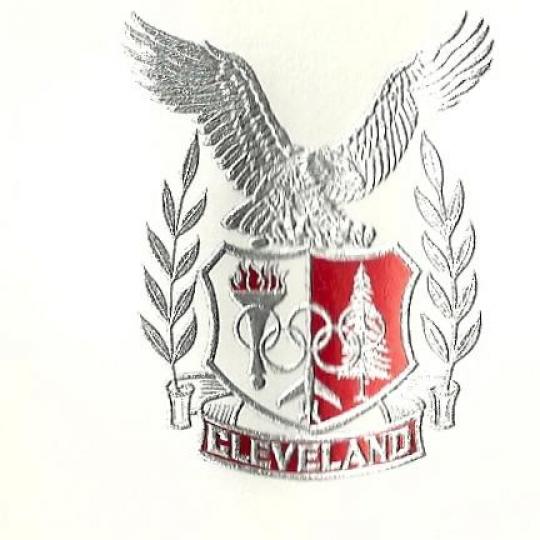 Organization Logo