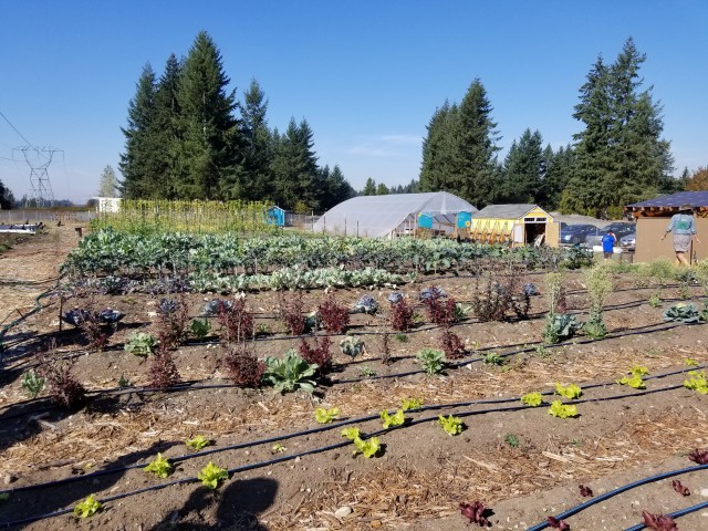 Organization Photo  (101290)