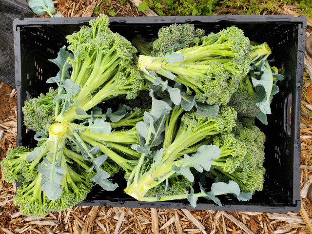 Organization Photo  (156803)