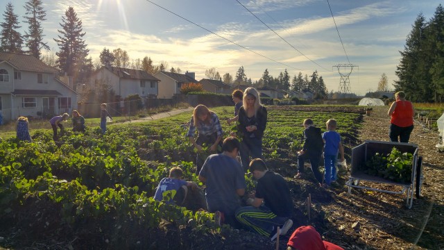 Organization Photo  (101294)