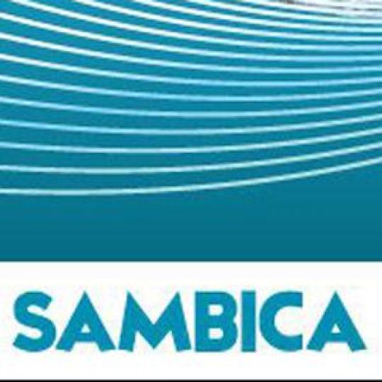 Organization Logo