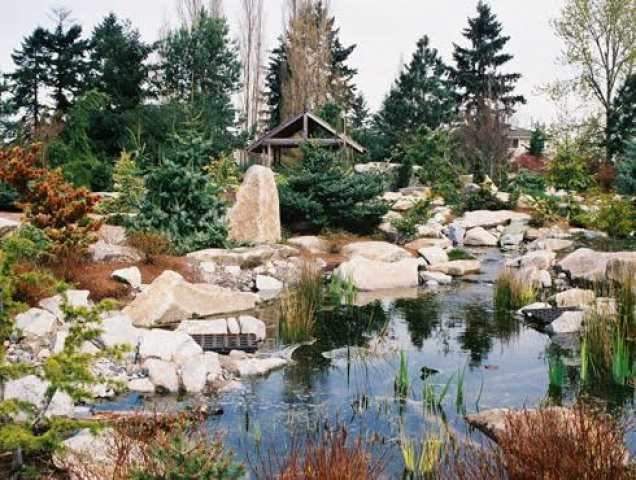 Organization Photo  (85806)