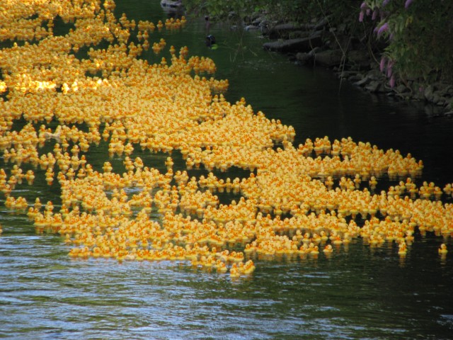 Organization Photo  (81158)