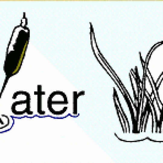 Organization Logo