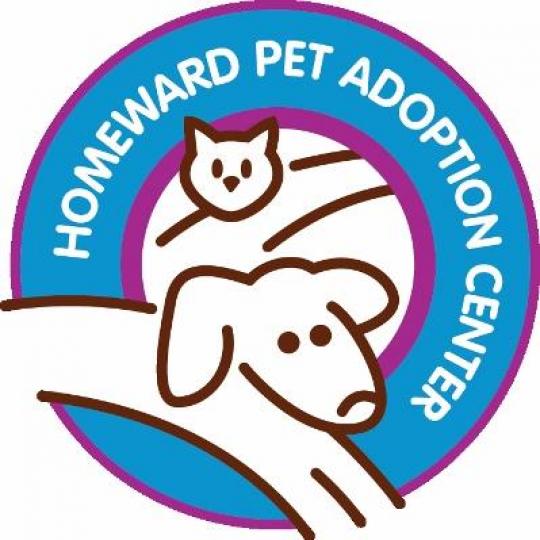 Organization Logo