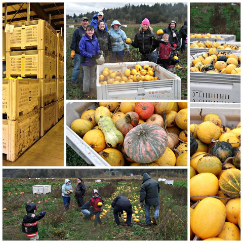 Organization Photo  (161058)