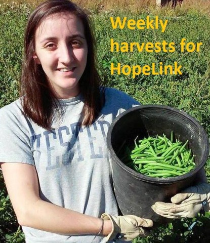 Organization Photo  (87849)