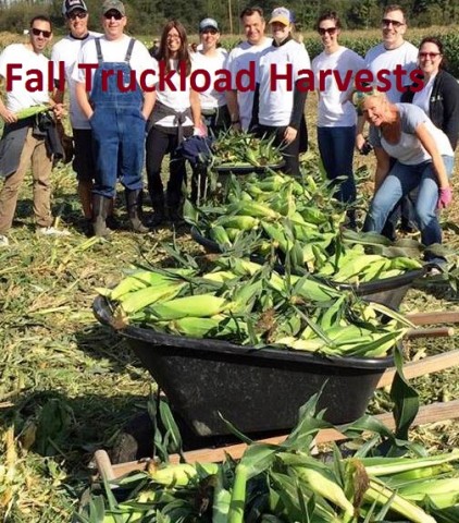 Organization Photo  (87853)