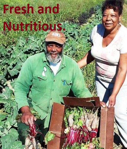 Organization Photo  (87851)