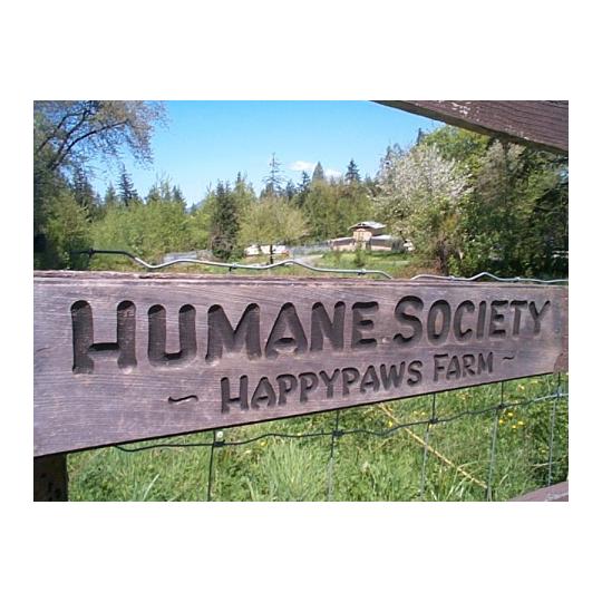 Organization Logo