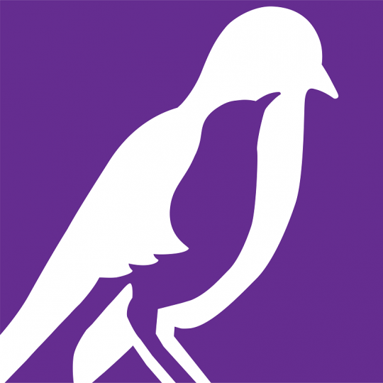 Organization Logo