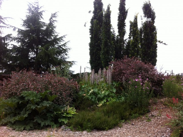 Organization Photo  (93945)