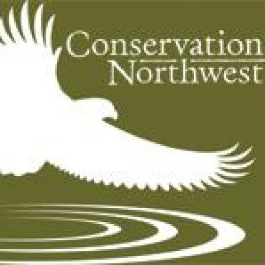 Organization Logo