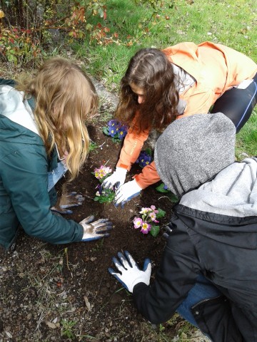 Organization Photo  (84339)