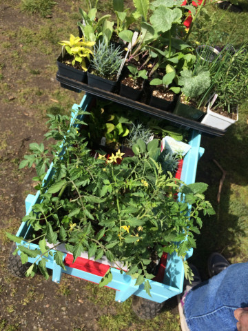 Organization Photo  (135202)