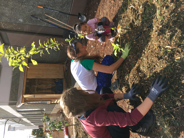 Organization Photo  (130190)