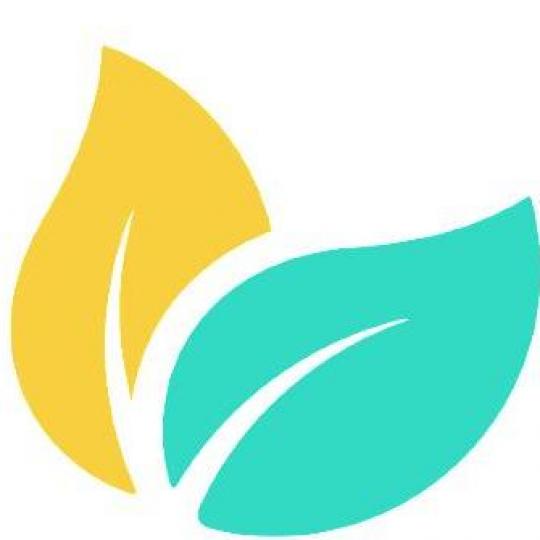 Organization Logo