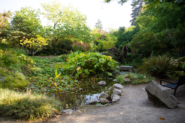 Organization Photo  (209980)