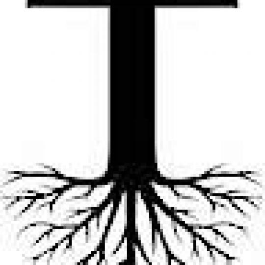 Organization Logo