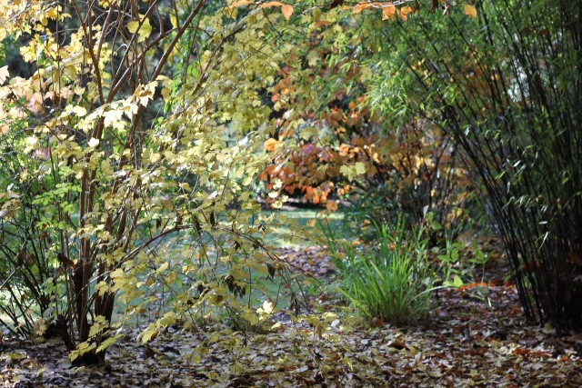 Organization Photo  (96319)