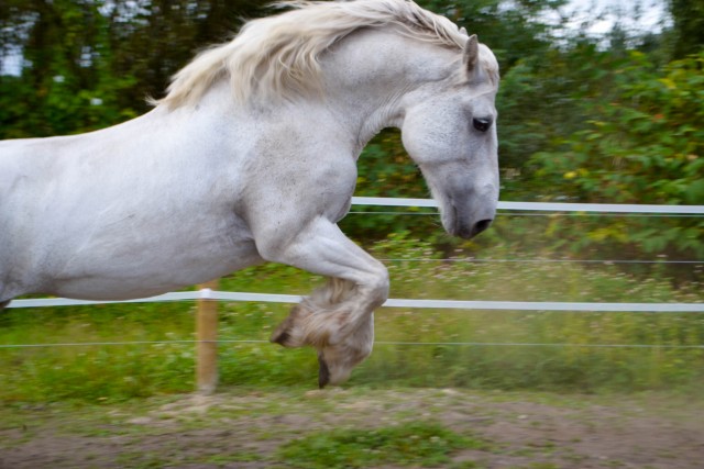 Organization Photo  (91833)