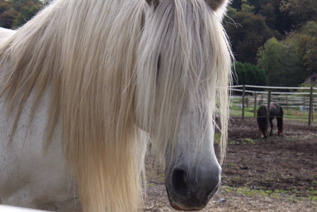 Organization Photo  (91829)