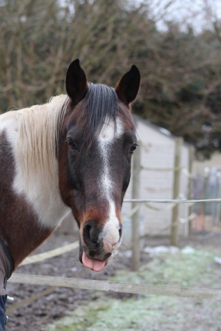 Organization Photo  (91827)