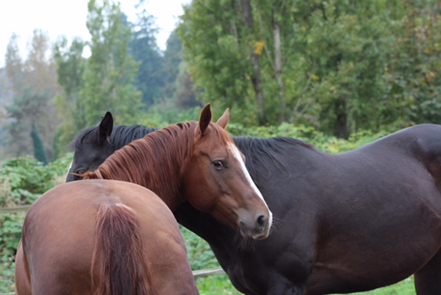 Organization Photo  (91828)