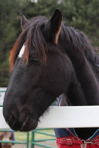 Organization Photo  (91826)