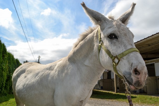 Organization Photo  (91834)