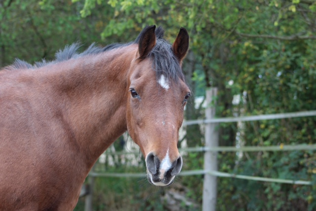 Organization Photo  (91832)