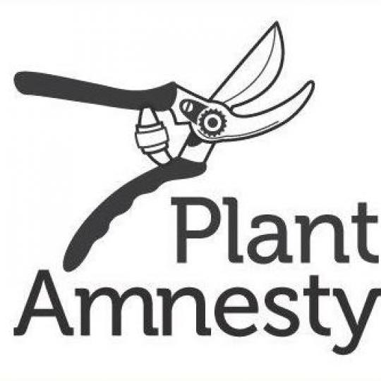 Organization Logo