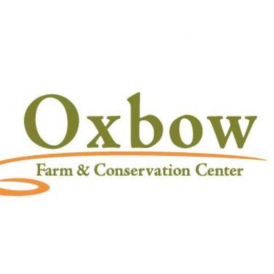 Organization Logo