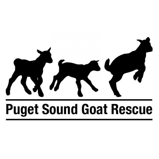 Organization Logo