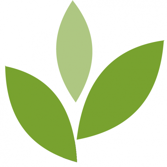 Organization Logo