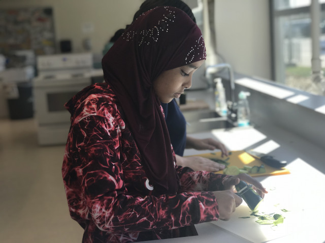 Organization Photo  (145735)